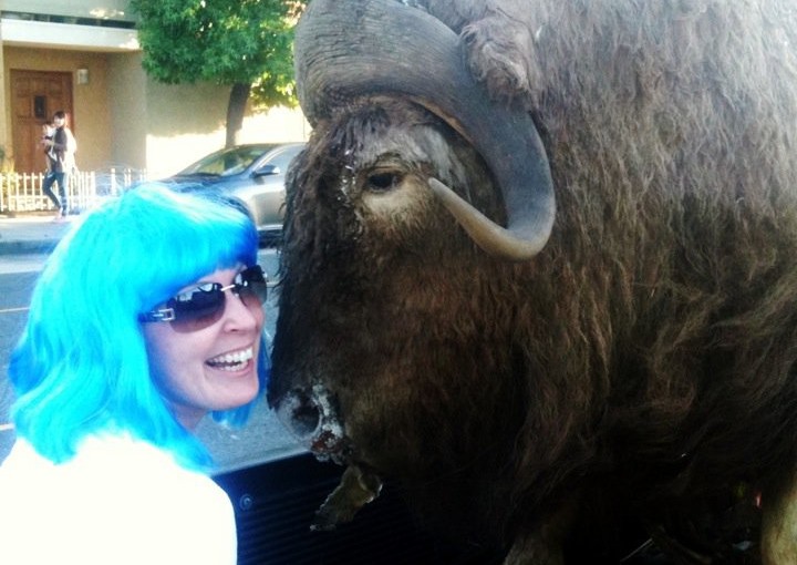 blue hair and a buffalo