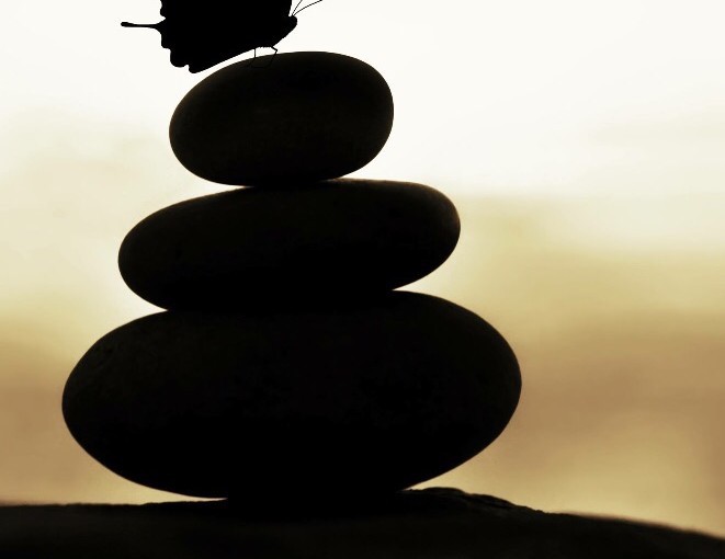 butterfly on rocks