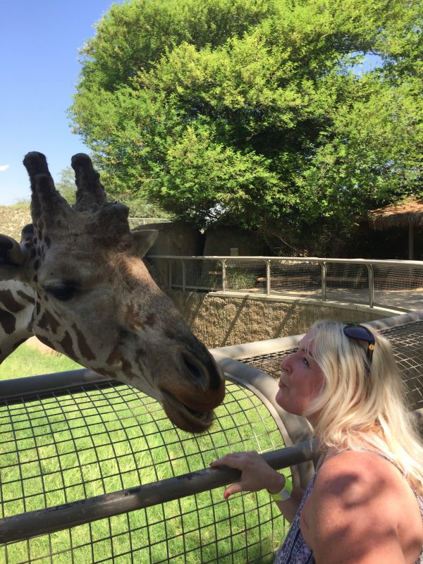 giraffe leaning over fence to kiss blonde middle aged woman
